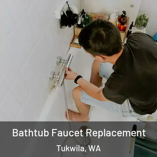  Bathtub Faucet Replacement Tukwila, WA