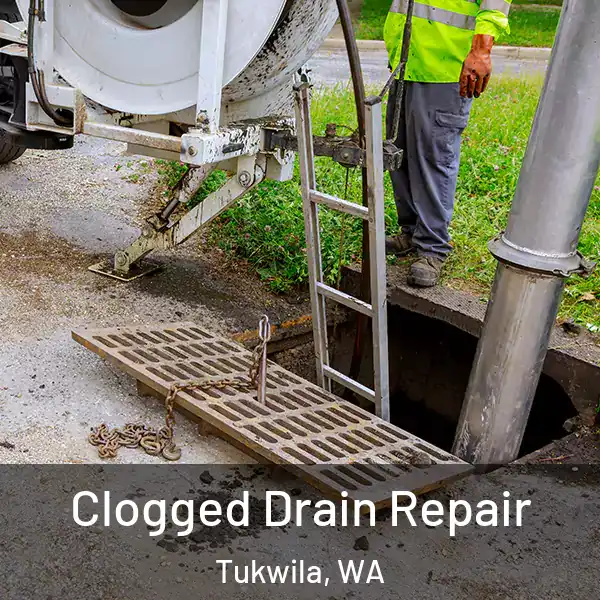 Clogged Drain Repair Tukwila, WA