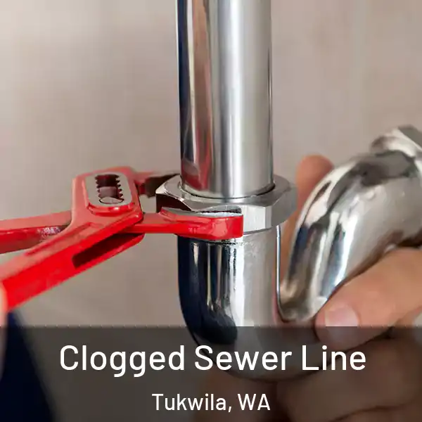  Clogged Sewer Line Tukwila, WA
