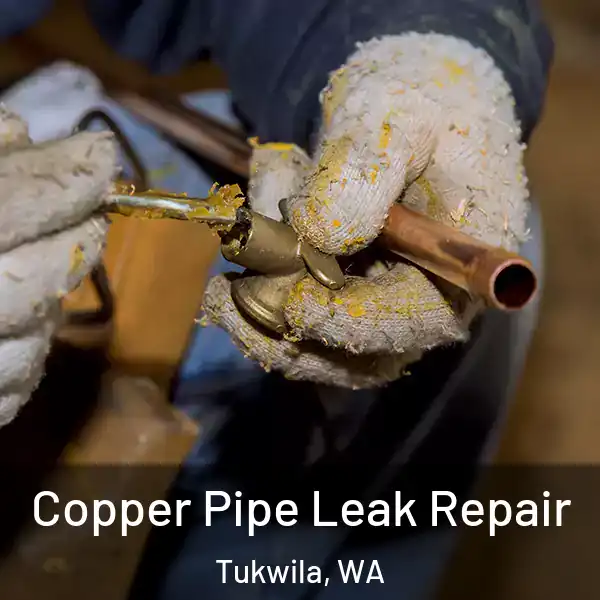  Copper Pipe Leak Repair Tukwila, WA