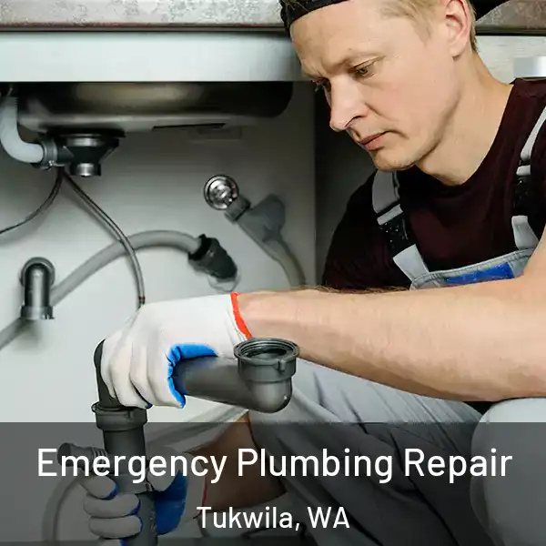  Emergency Plumbing Repair Tukwila, WA