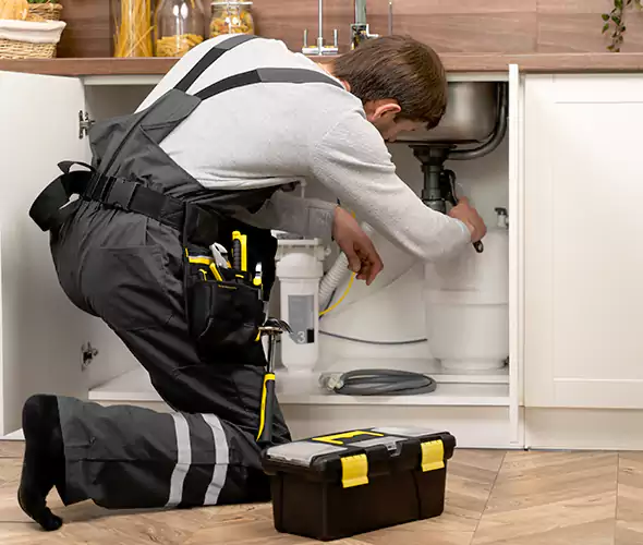 Certified Plumbers for Insinkerator Installation in Tukwila