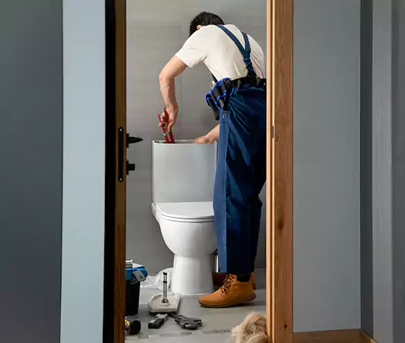 Professional Plumbers for Toilet Bowl Replacement in Tukwila, WA: Schedule Affordable Toilet Replacement Services With Us