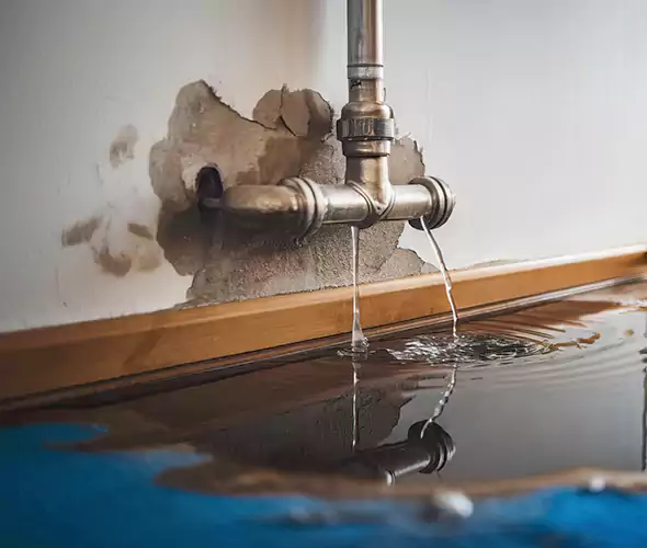 Professional Water Damage Restoration Experts in Tukwila, WA — Fast, Reliable & Certified