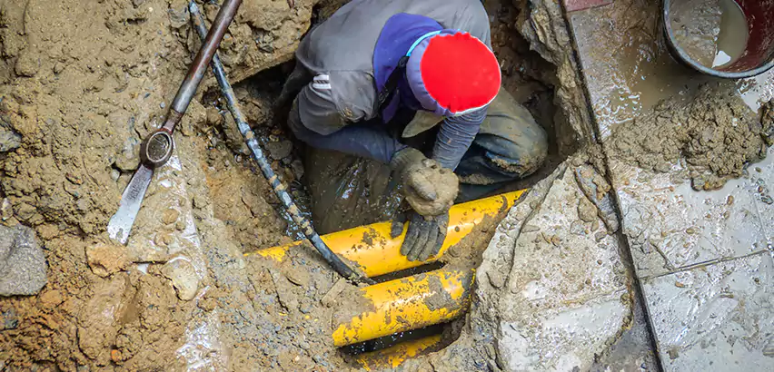 Clogged Drain Repair in Tukwila, WA