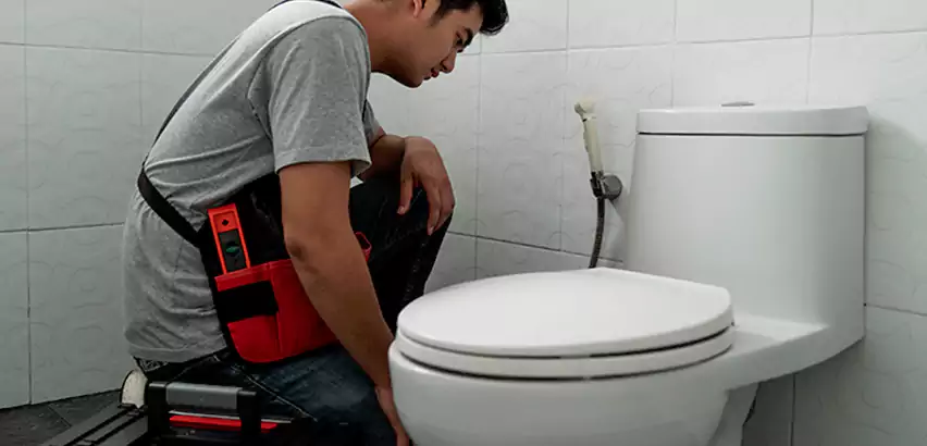 Toilet Repair in Tukwila