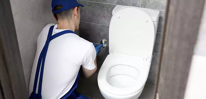 Toilet Lid Replacement in Tukwila