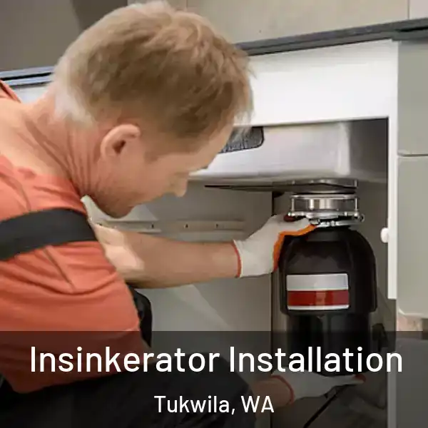 Insinkerator Installation Tukwila, WA