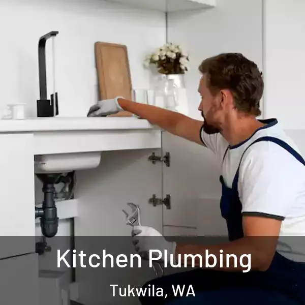  Kitchen Plumbing Tukwila, WA