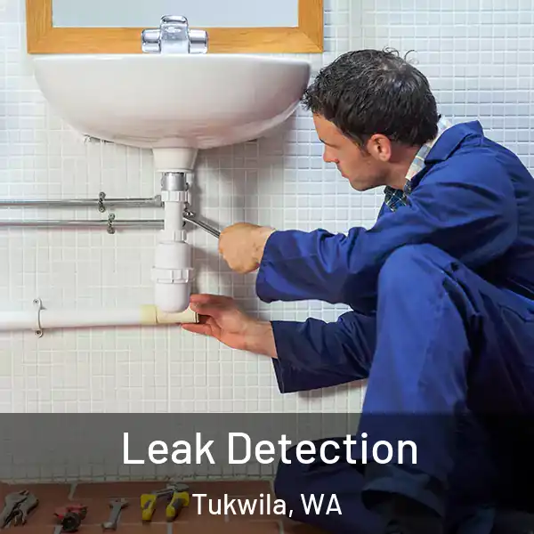  Leak Detection Tukwila, WA