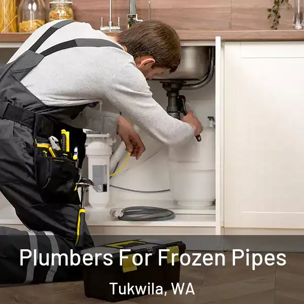  Plumbers For Frozen Pipes Tukwila, WA