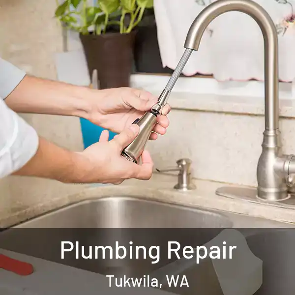  Plumbing Repair Tukwila, WA