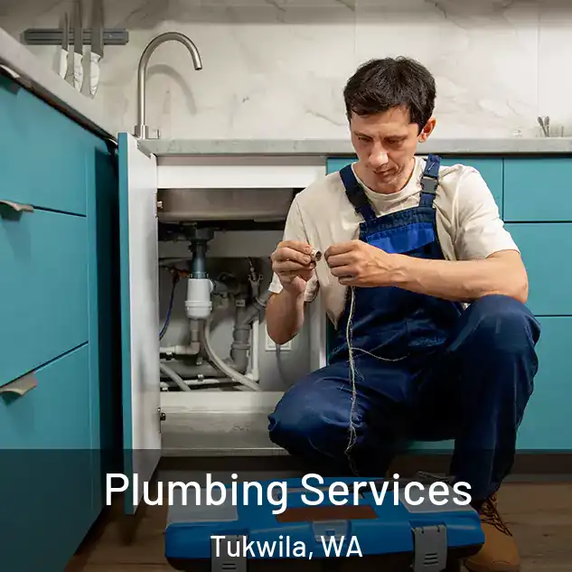  Plumbing Services Tukwila, WA