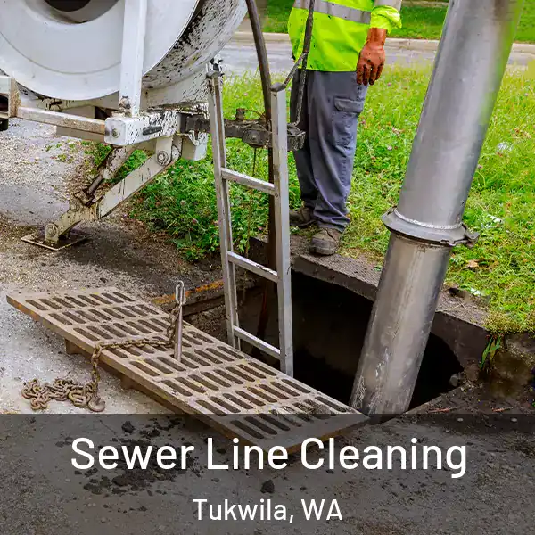  Sewer Line Cleaning Tukwila, WA