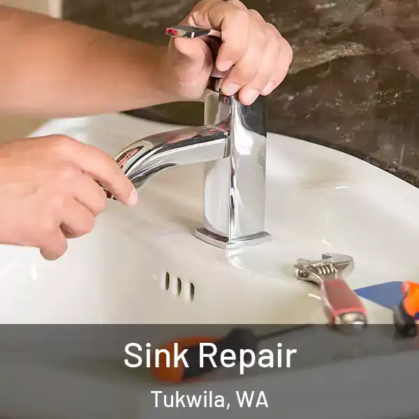  Sink Repair Tukwila, WA