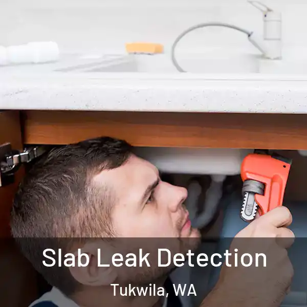  Slab Leak Detection Tukwila, WA