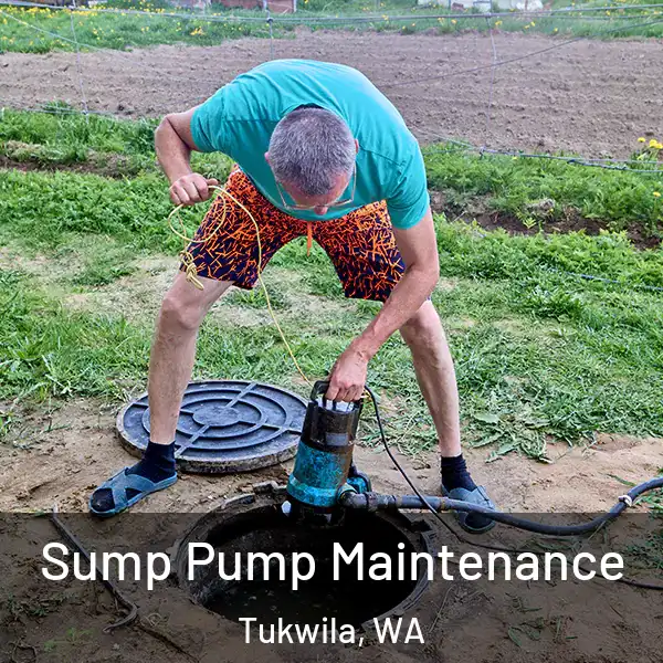  Sump Pump Maintenance Tukwila, WA