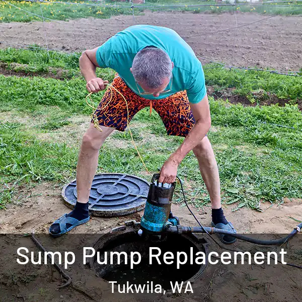  Sump Pump Replacement Tukwila, WA