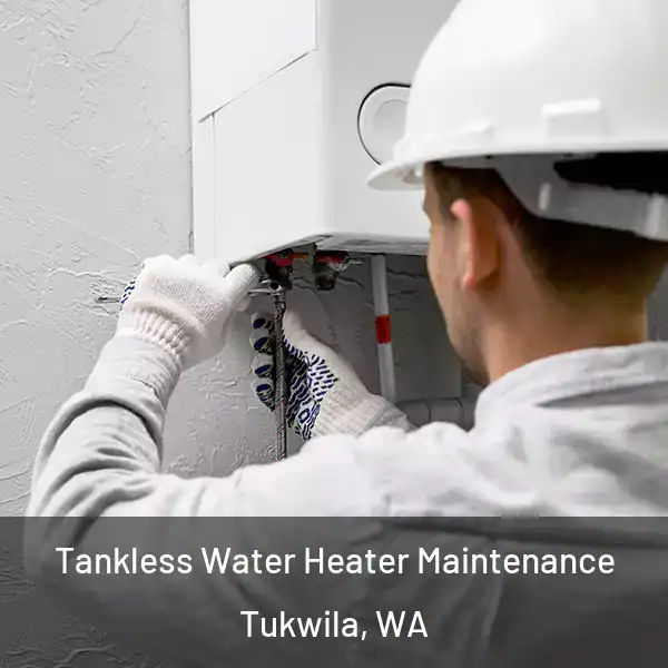  Tankless Water Heater Maintenance Tukwila, WA