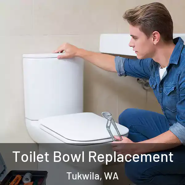  Toilet Bowl Replacement Tukwila, WA
