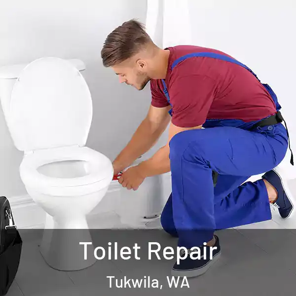  Toilet Repair Tukwila, WA