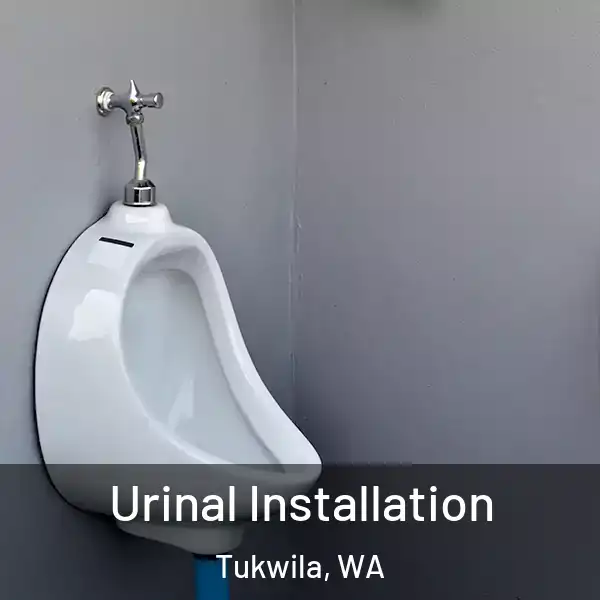  Urinal Installation Tukwila, WA