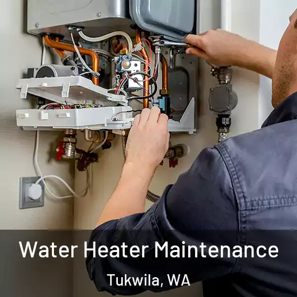  Water Heater Maintenance Tukwila, WA