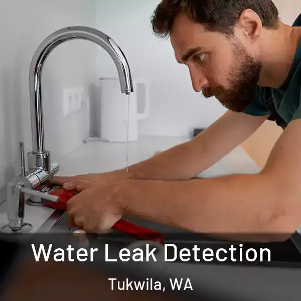  Water Leak Detection Tukwila, WA