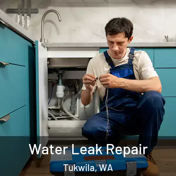  Water Leak Repair Tukwila, WA