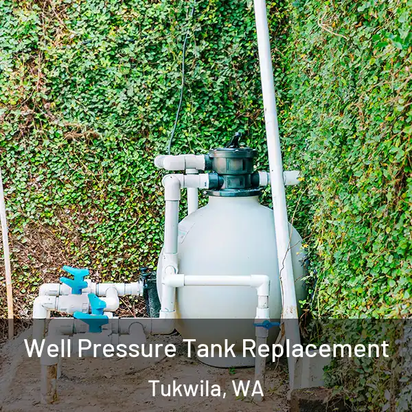  Well Pressure Tank Replacement Tukwila, WA