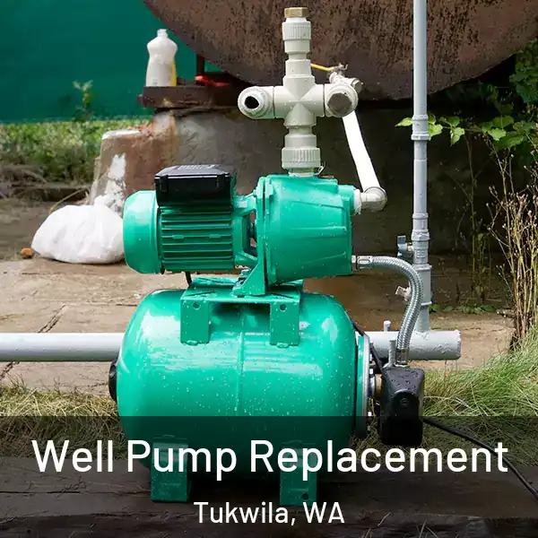  Well Pump Replacement Tukwila, WA